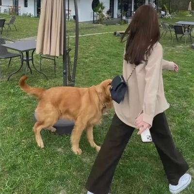 猎头行动